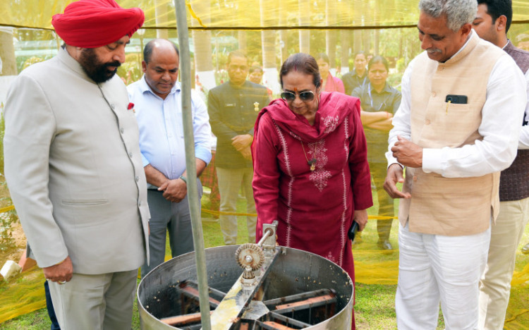 लोक भवन में मधुमक्खी पालन से 41 किलोग्राम शहद का उत्पादन 